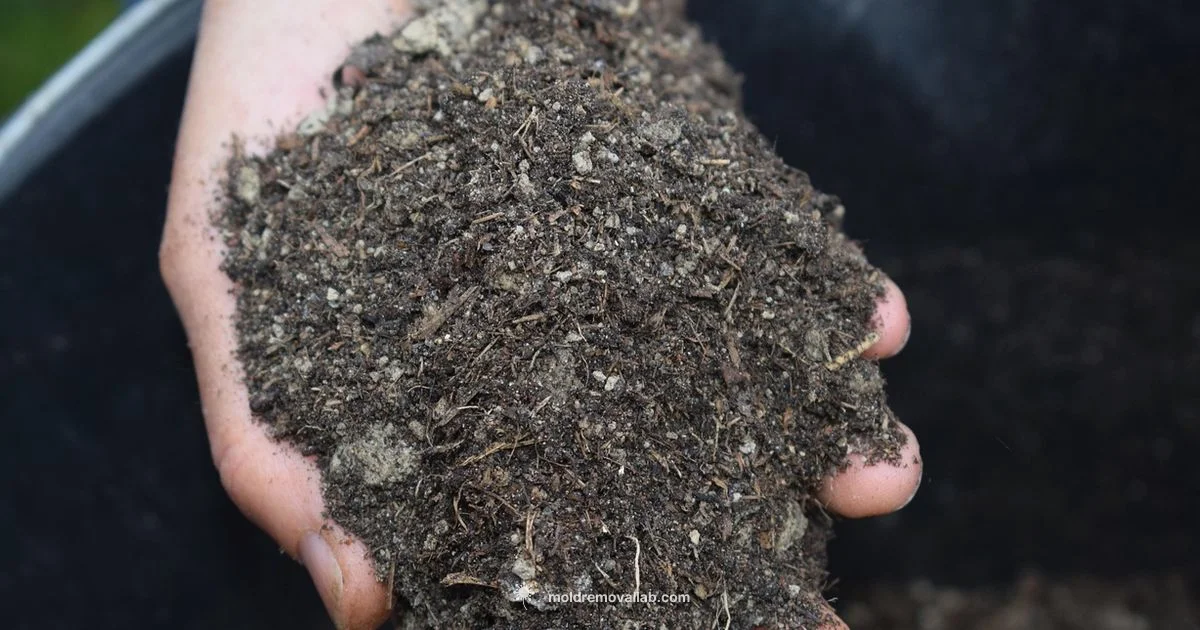 Moldy Mulch Guide - Mold Removal Lab