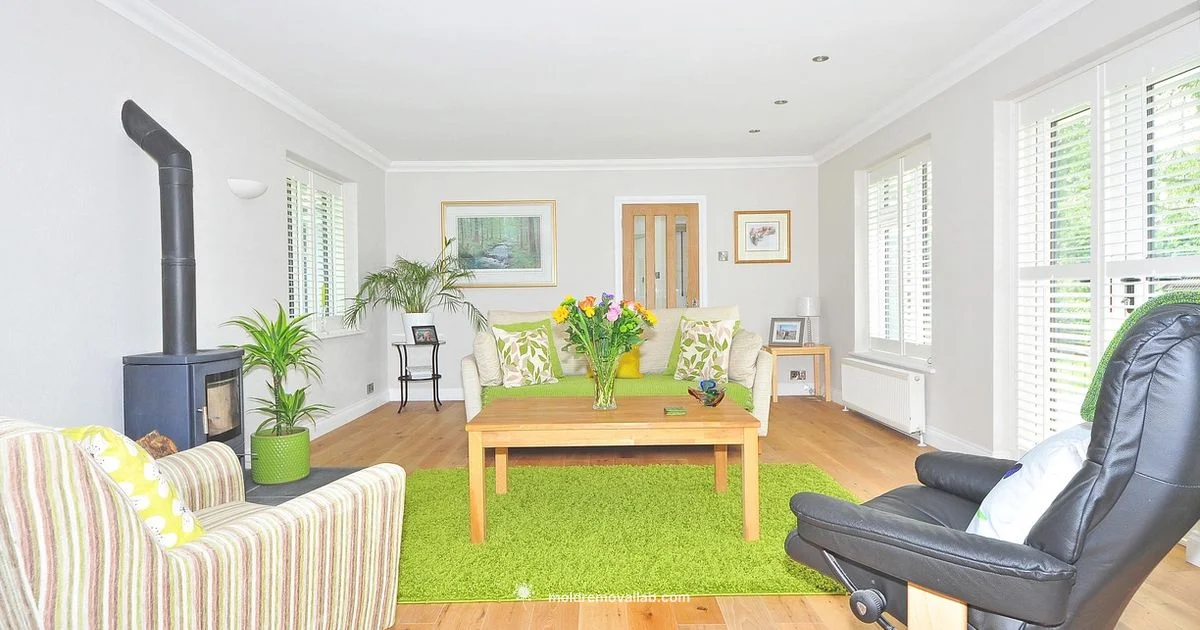 Car Carpet Mold Guide - Mold Removal Lab