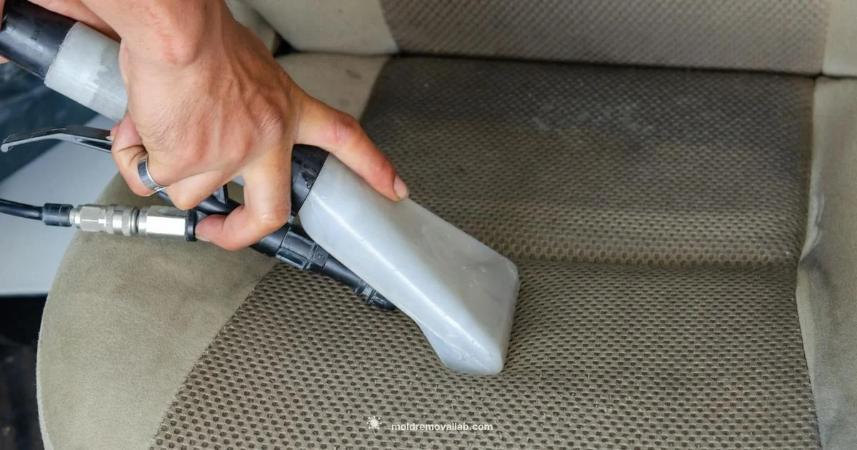 Car Seat Mold Guide - Mold Removal Lab