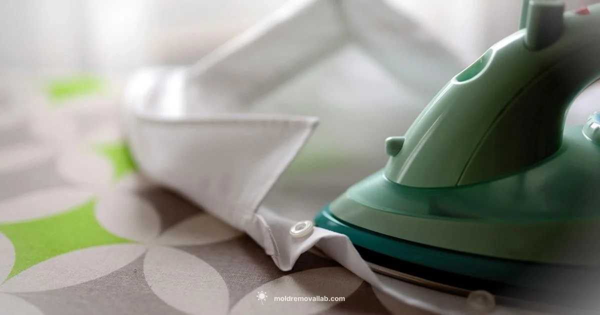 Mold Stain Guide - Mold Removal Lab