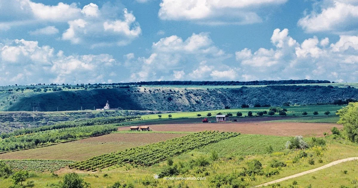 Moldova Key Highlights - Mold Removal Lab