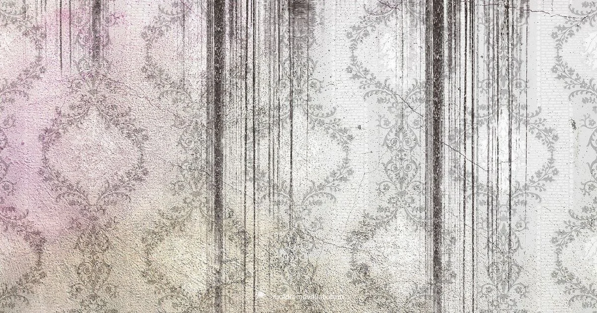 Mold Health Risks - Mold Removal Lab