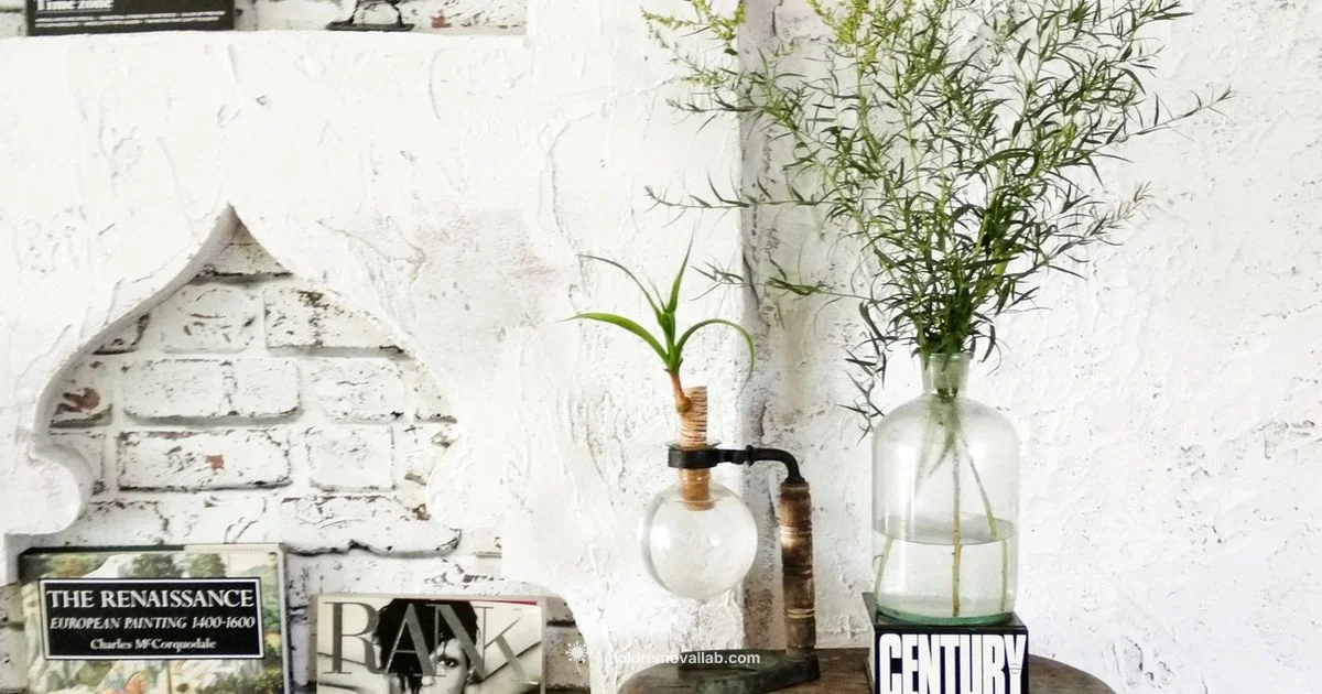 Mold Health Risks - Mold Removal Lab