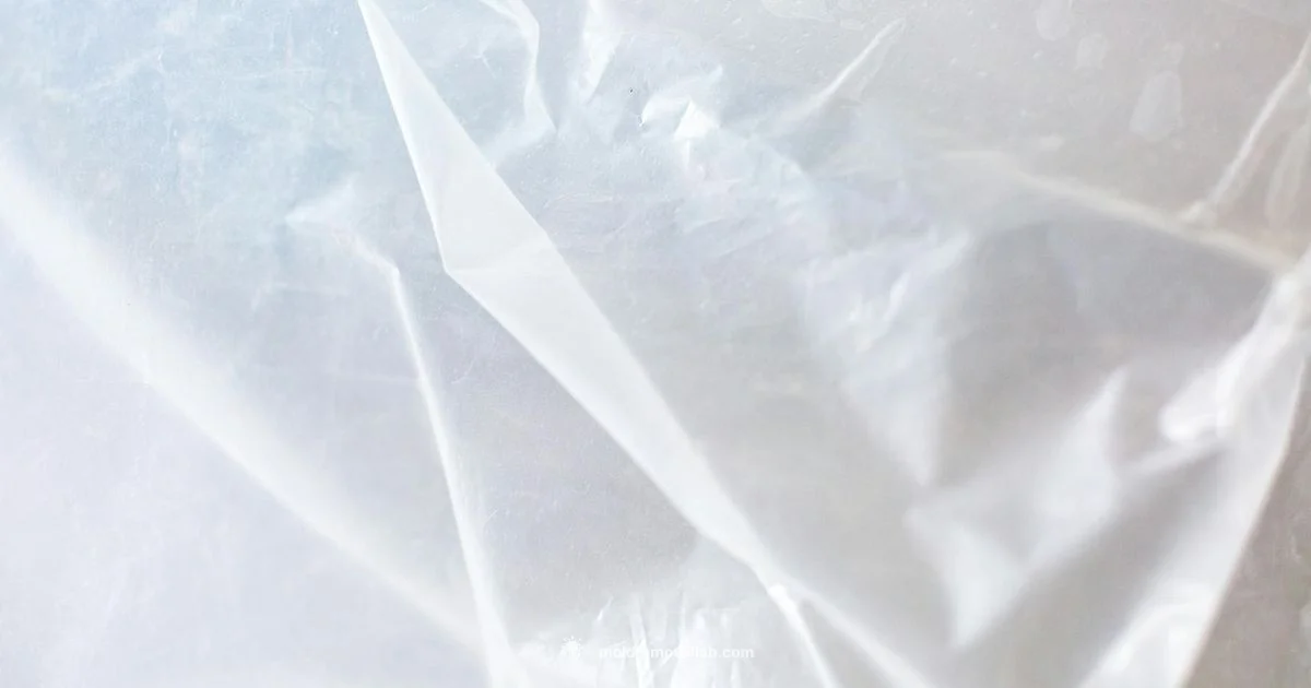 Mold and Plastic - Mold Removal Lab