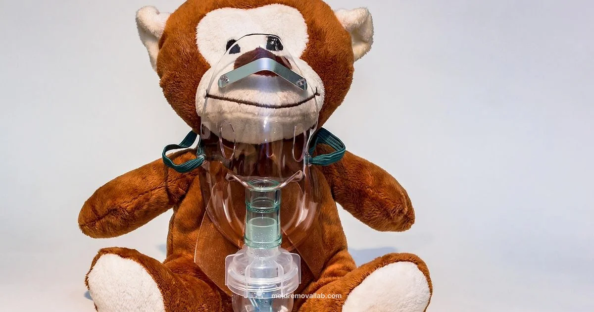 Mold Inhalation Health - Mold Removal Lab