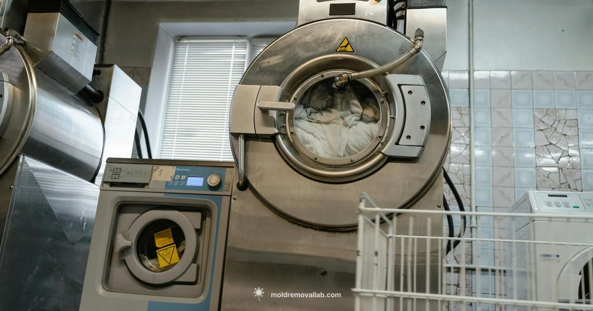 Ozone Mold Guide Ozone Mold Guide - Mold Removal Lab