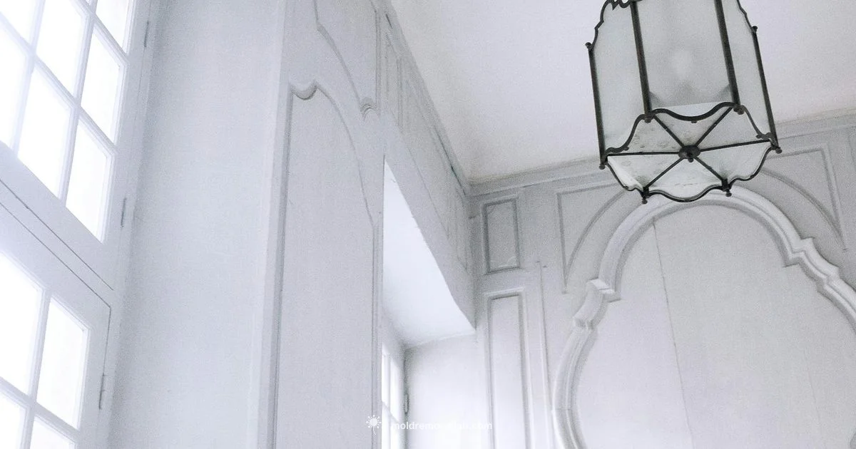 Crown Molding Sizing - Mold Removal Lab