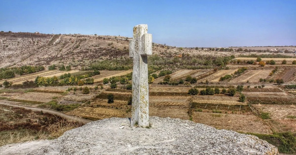 Moldova Safety - Mold Removal Lab