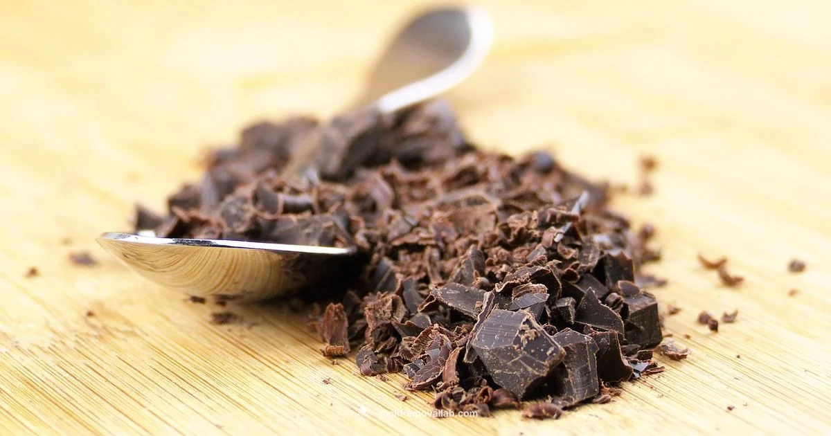 Mold Chocolate Mold Chocolate - Mold Removal Lab