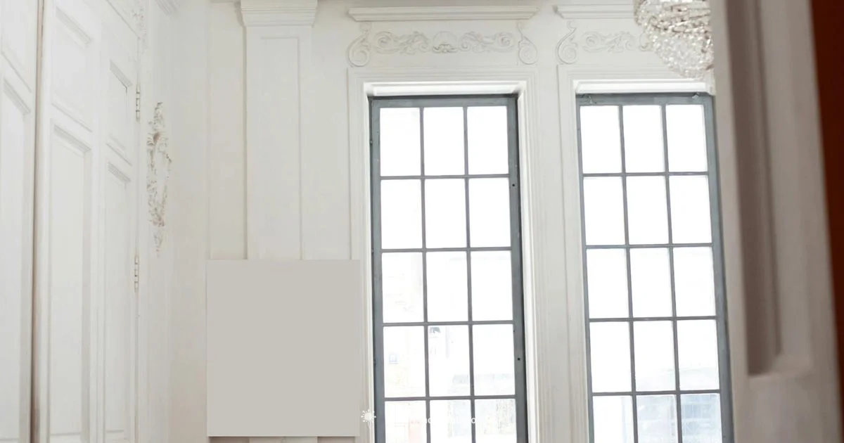 Light and Mold Growth - Mold Removal Lab