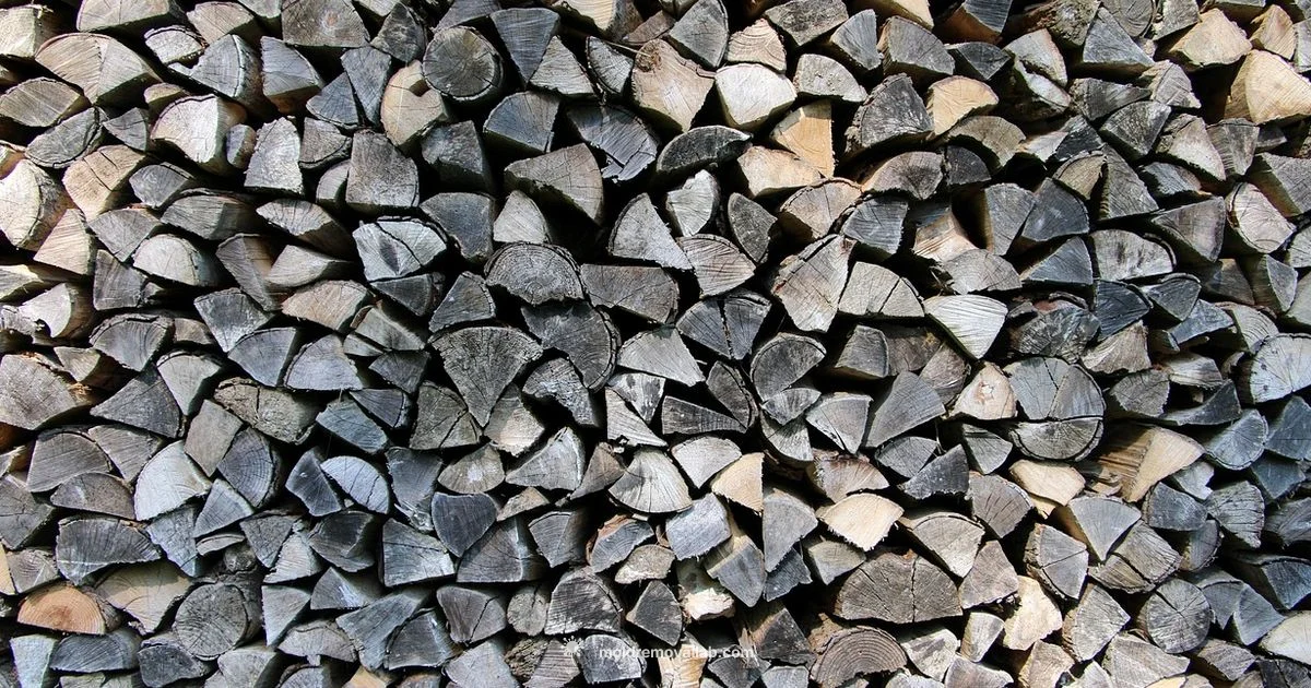 Wood Mold Removal Guide - Mold Removal Lab