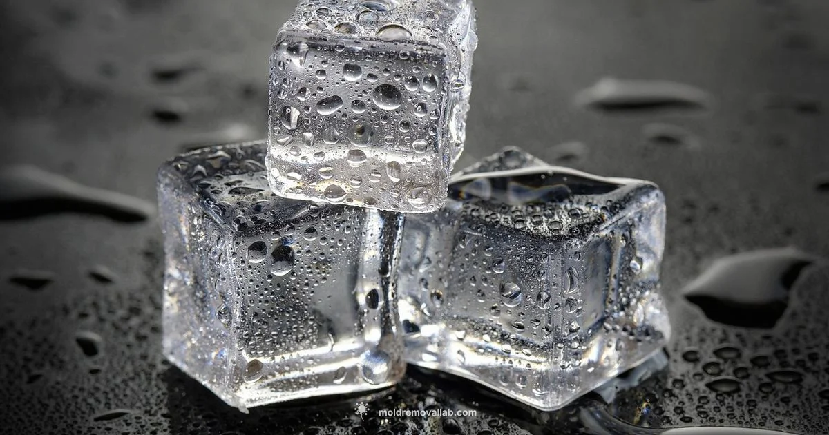 Crystal Clear Ice - Mold Removal Lab