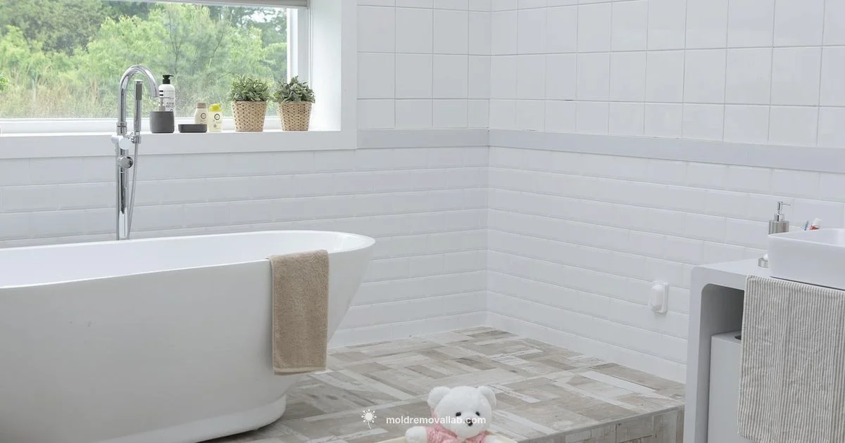 Mold Safety Guide - Mold Removal Lab