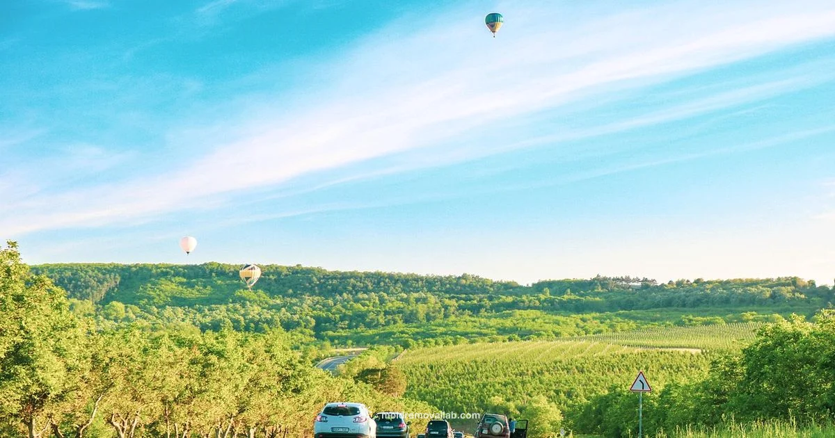 Moldova EU Status - Mold Removal Lab