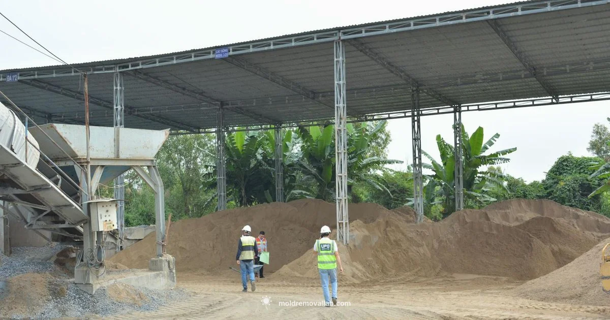 Mold Test at Home - Mold Removal Lab