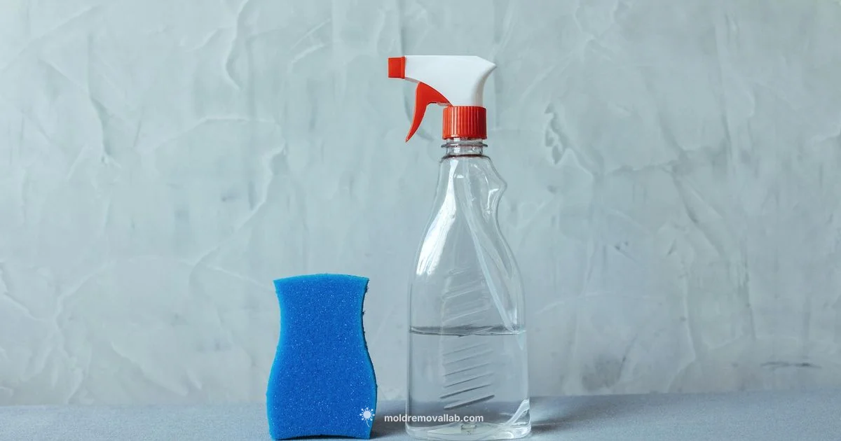 Bleach Mold Cleanup - Mold Removal Lab