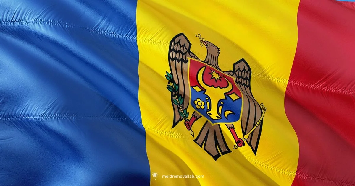 Moldova NATO Status Moldova NATO Status - Mold Removal Lab