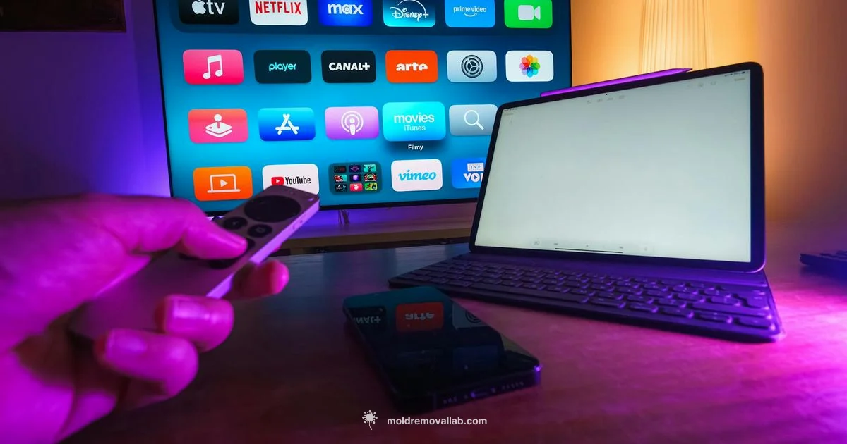 Cast to Samsung TV - Mold Removal Lab