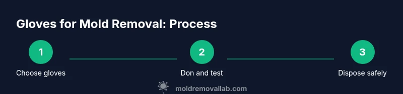 Infographic showing gloves selection, donning, testing, and disposal for mold cleanup