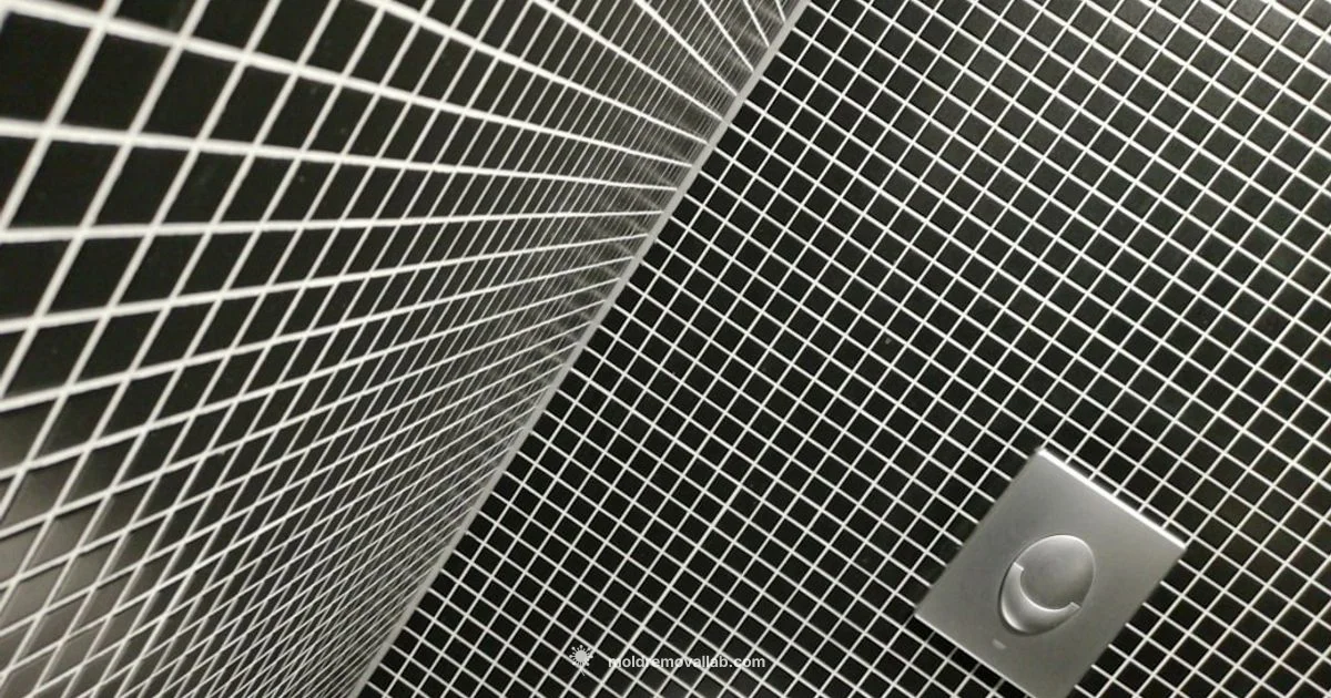 Bathroom Mold Guide - Mold Removal Lab