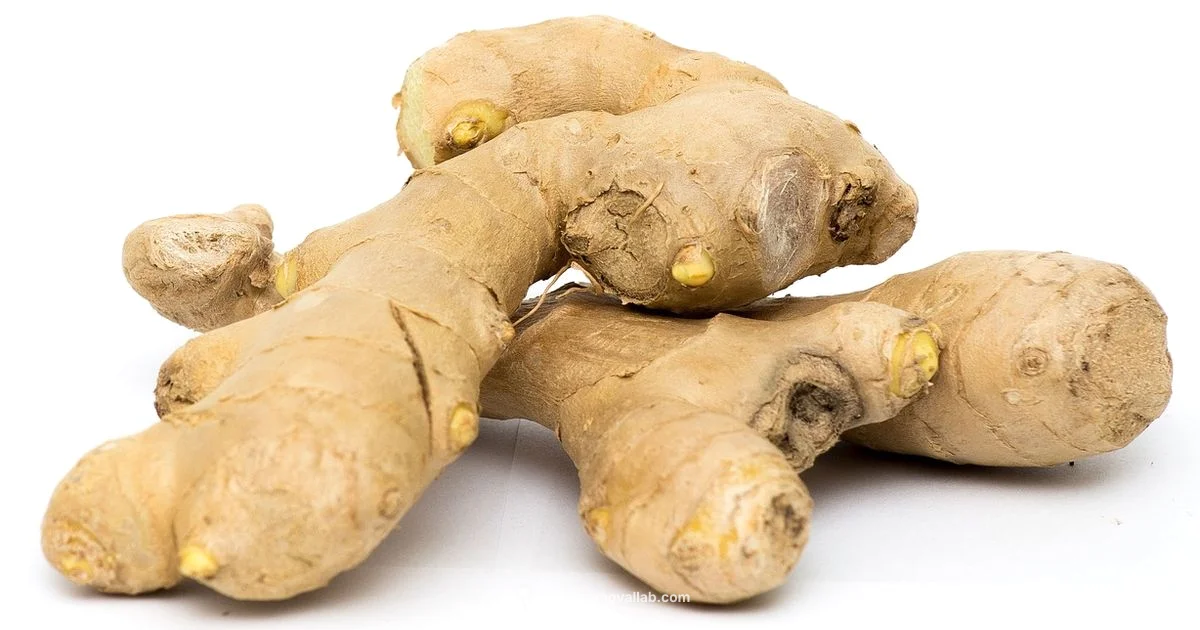 Mold on Ginger Guide - Mold Removal Lab