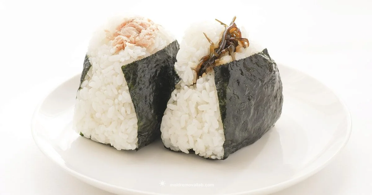 Rice Ball Mold Guide - Mold Removal Lab