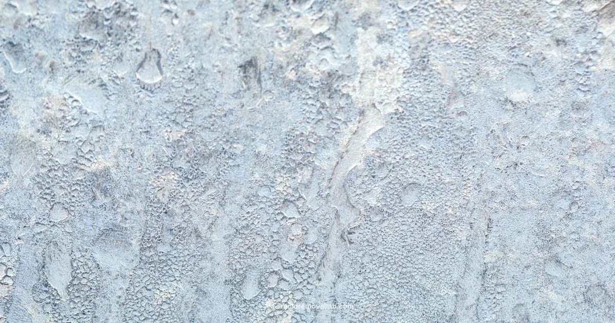 Safe Mold Kill Guide - Mold Removal Lab