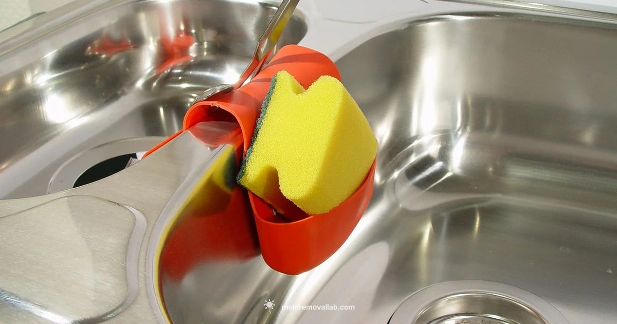 Mold and Lung Health - Mold Removal Lab