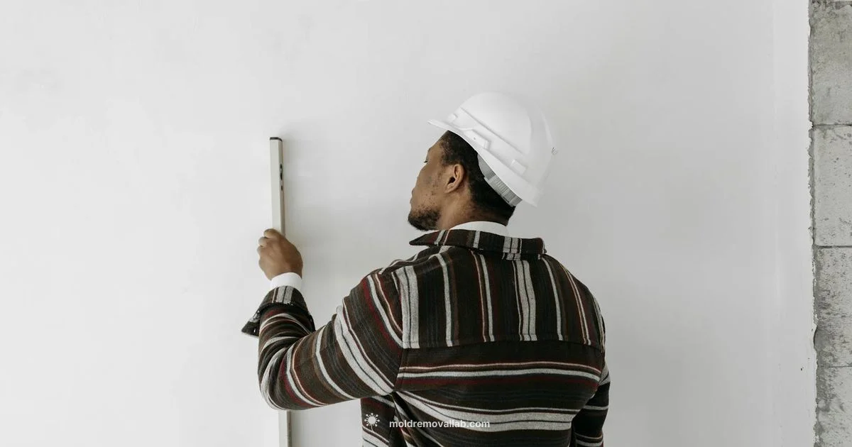 Mold vs Asbestos - Mold Removal Lab