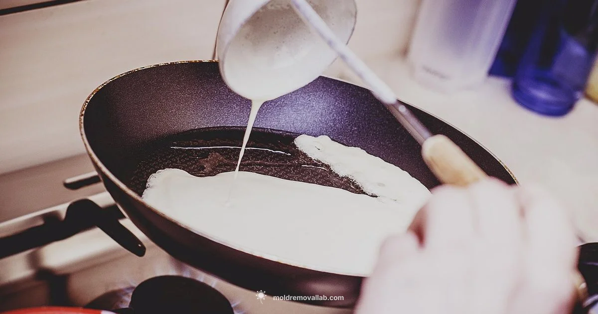 Fun Pancake Shapes - Mold Removal Lab
