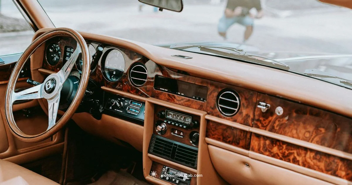Eliminate Car Mold Odor - Mold Removal Lab