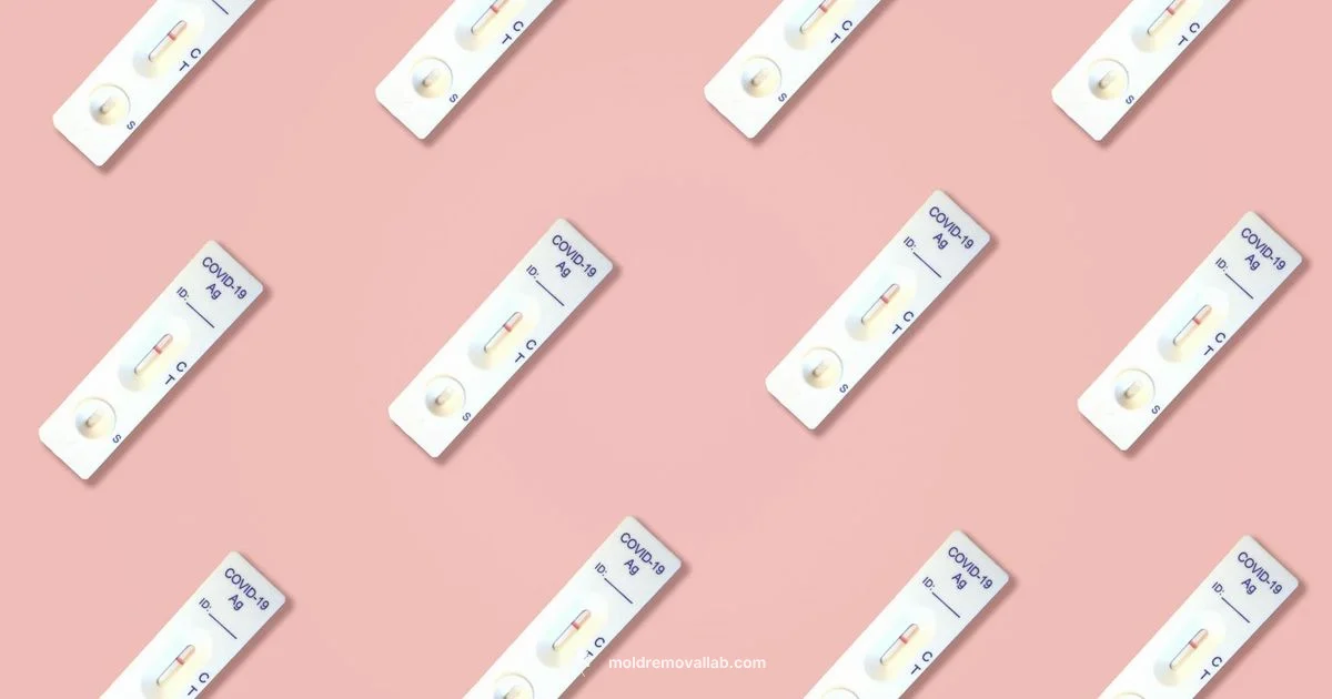 Mold Test Toolkit - Mold Removal Lab