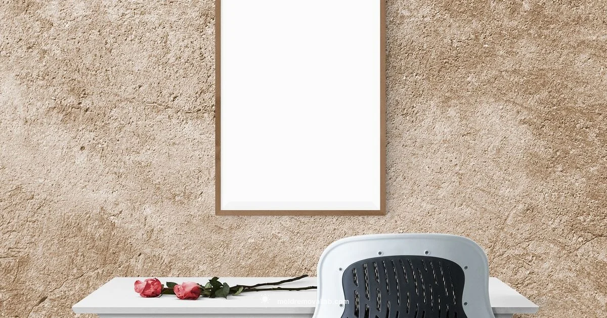 Cabinet Molding - Mold Removal Lab