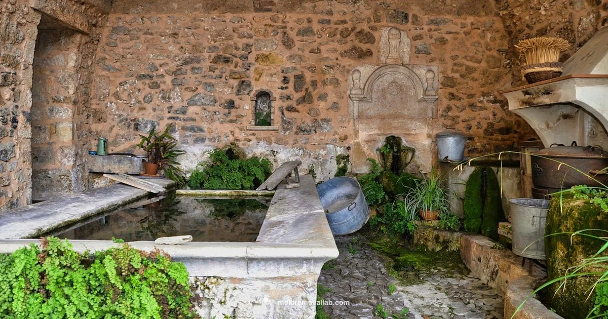 Wash Mold from Clothes - Mold Removal Lab