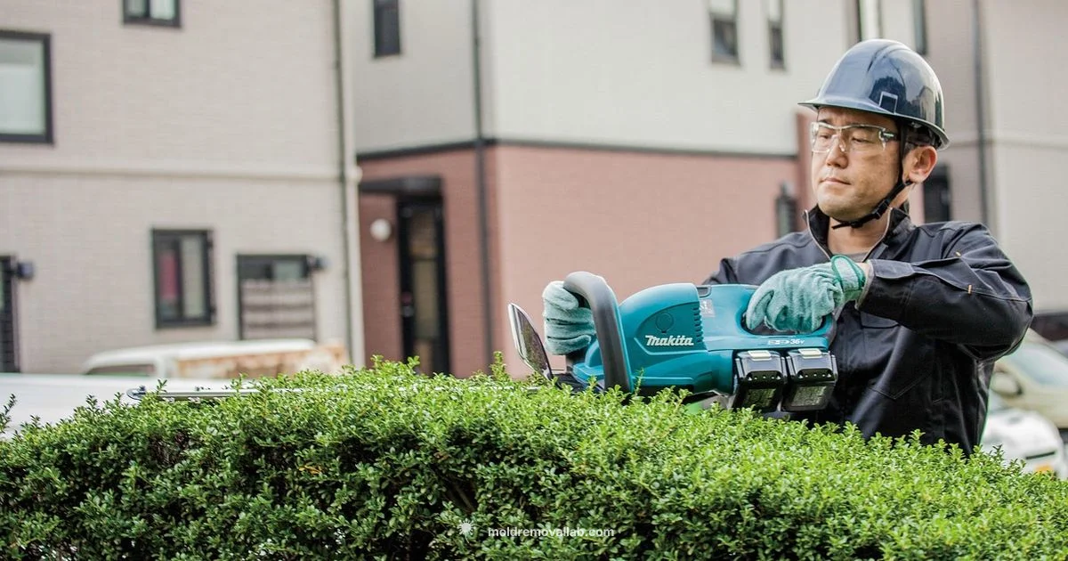 Mold Respirator Guide - Mold Removal Lab