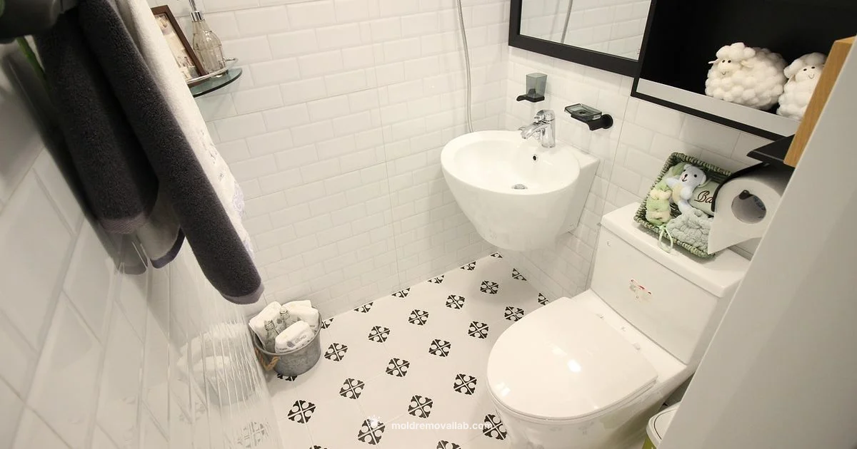 Shower Mold Cleanup - Mold Removal Lab