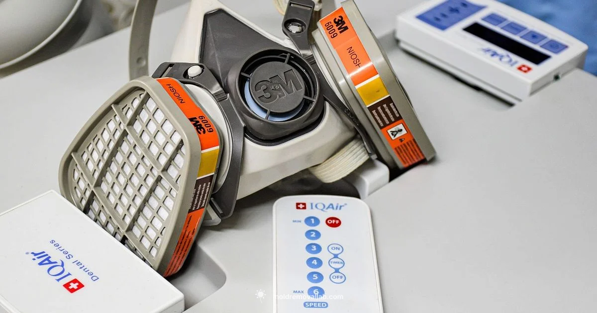 Mold & Air Purifiers - Mold Removal Lab