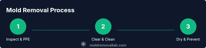 Process flow for removing black mold from a sink drain