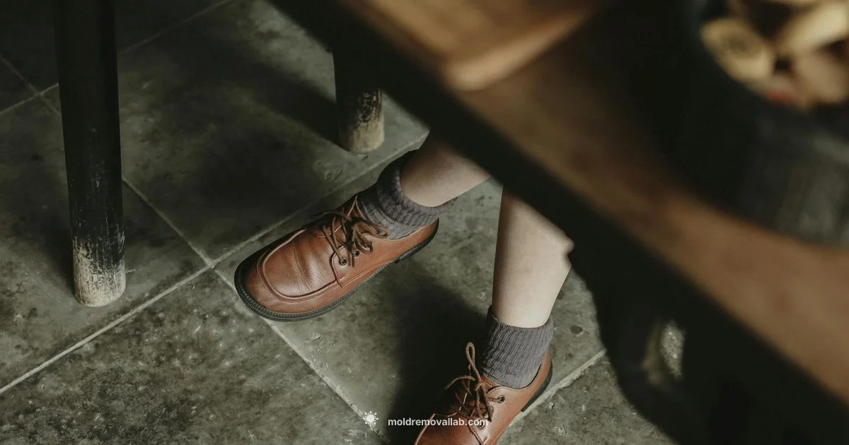 Leather Mold Removal Leather Mold Removal - Mold Removal Lab