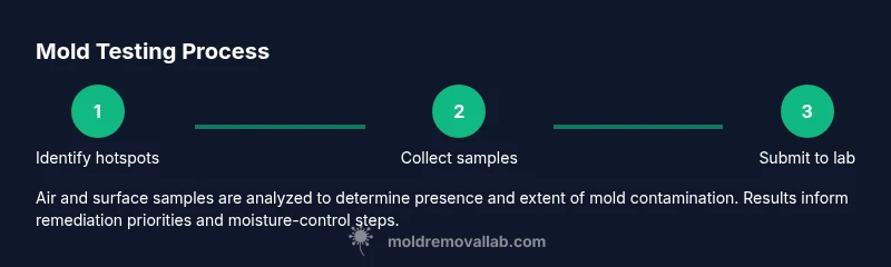 Process infographic showing steps for mold testing in an apartment
