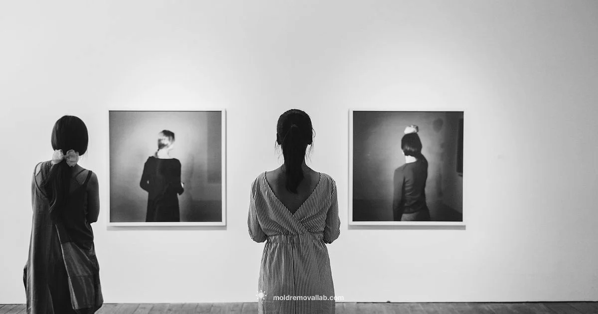 Check Mold in Walls - Mold Removal Lab