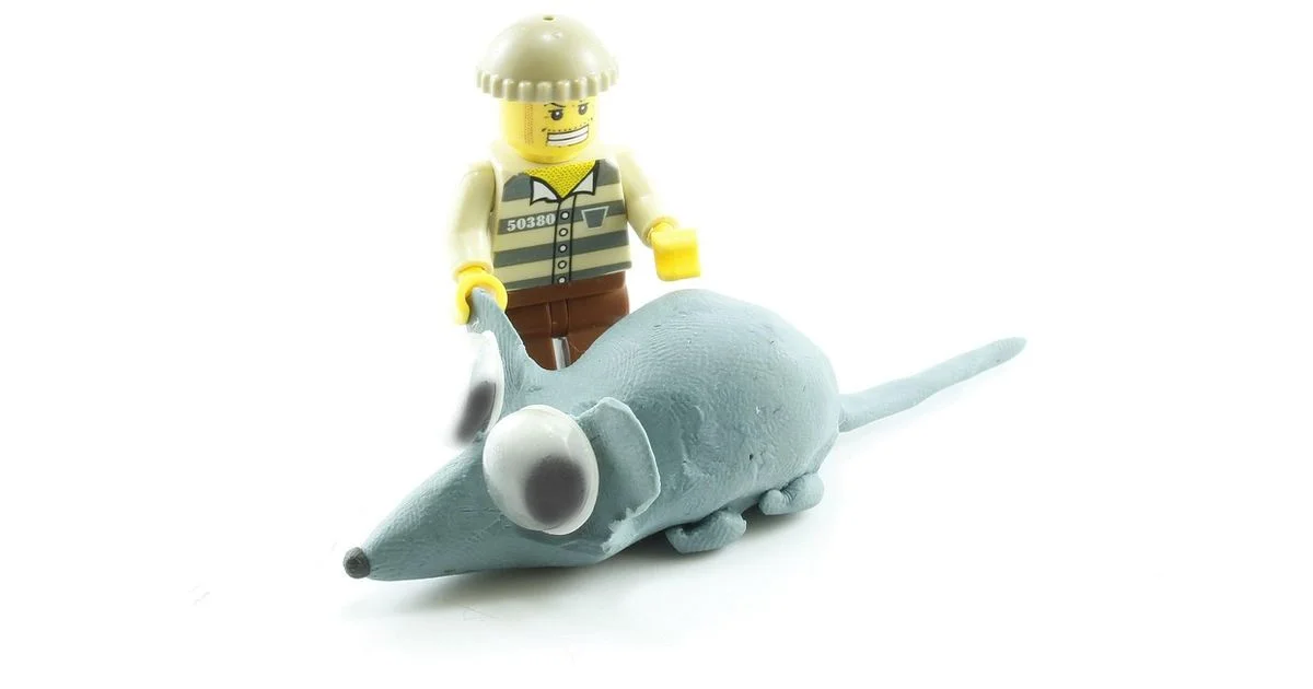 Silicone Mold Tips - Mold Removal Lab