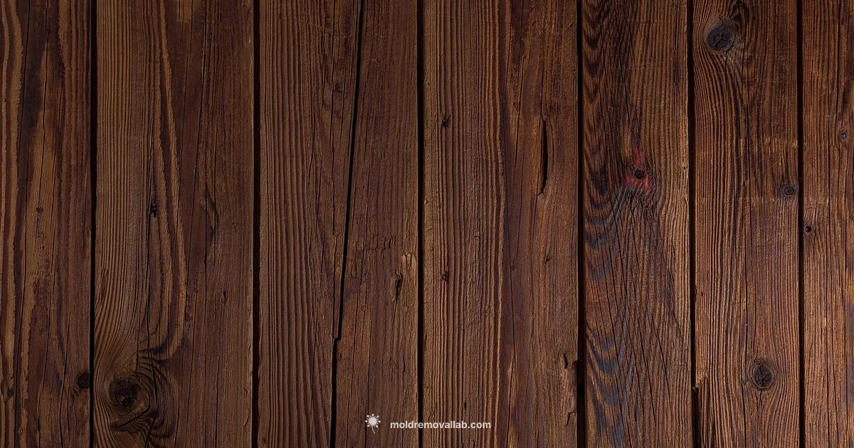 Wood Mold Remediation - Mold Removal Lab