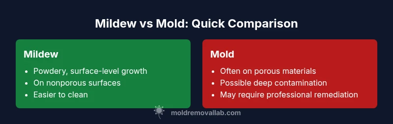 Infographic comparing mildew and mold in a bathroom