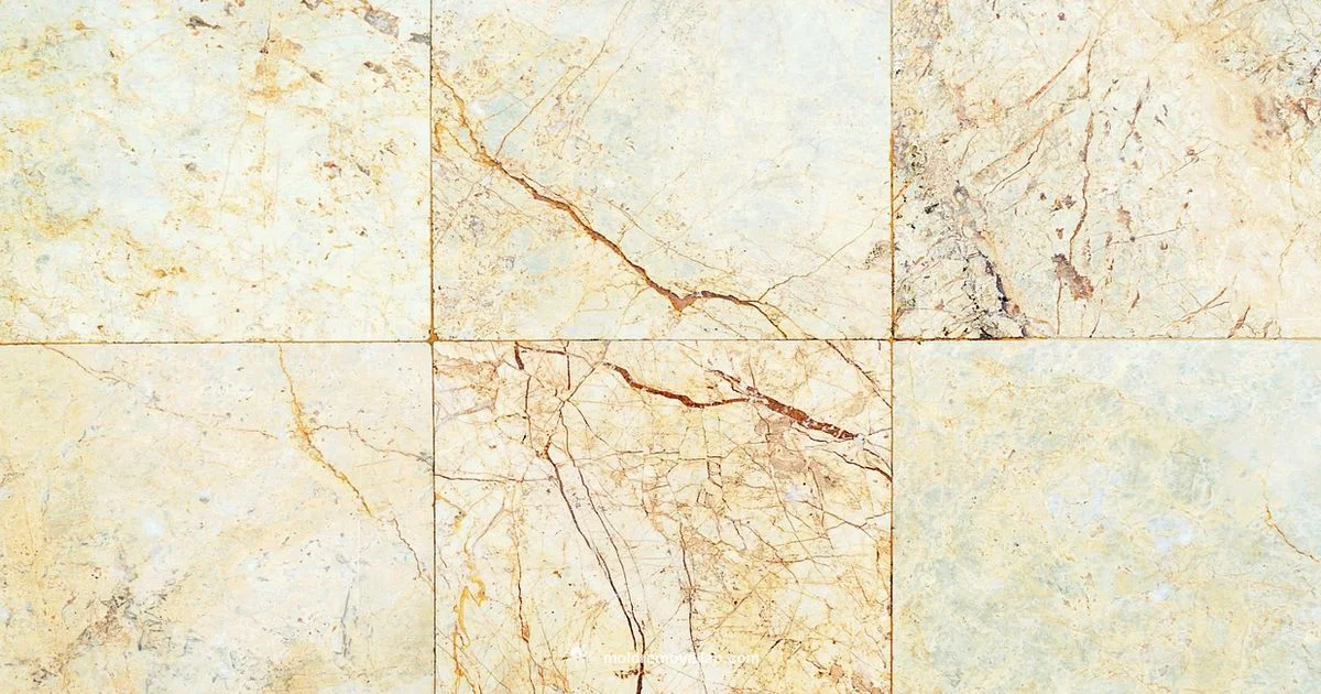 Baking Soda Mold Cleanup - Mold Removal Lab