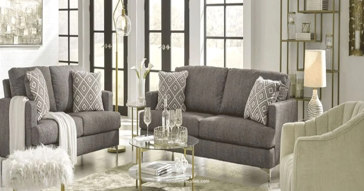 Mold Cleaning Cadence - Mold Removal Lab