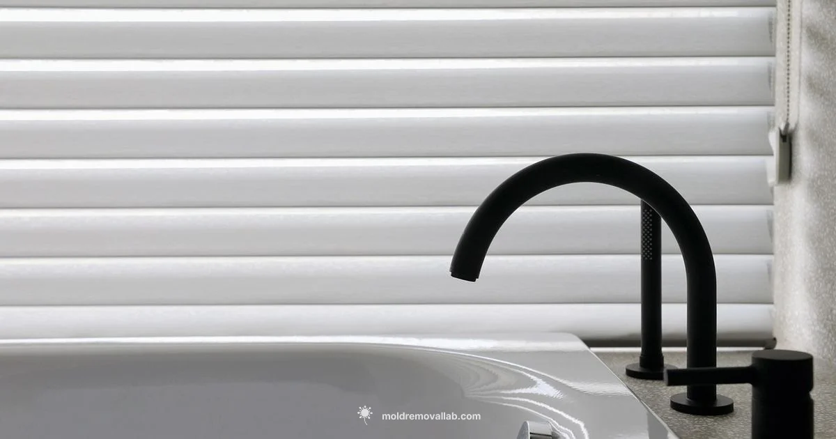 Toilet Mold Guide - Mold Removal Lab