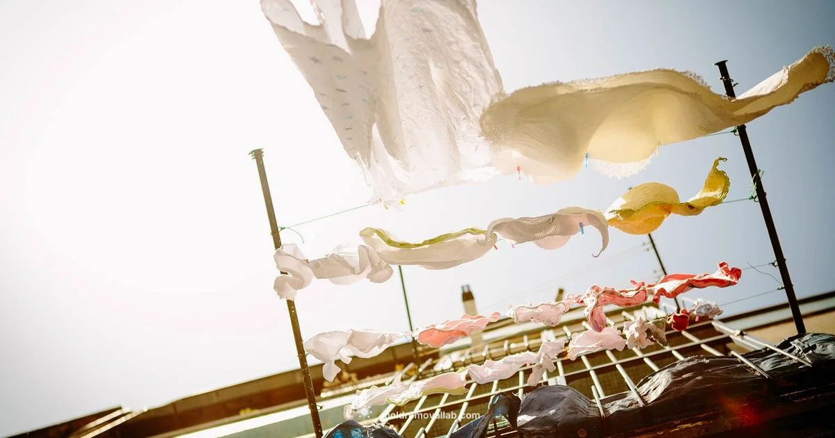 Mold-Free Laundry Mold-Free Laundry - Mold Removal Lab