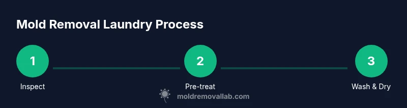 Process infographic showing steps to remove mold from clothes using mold-killing detergent
