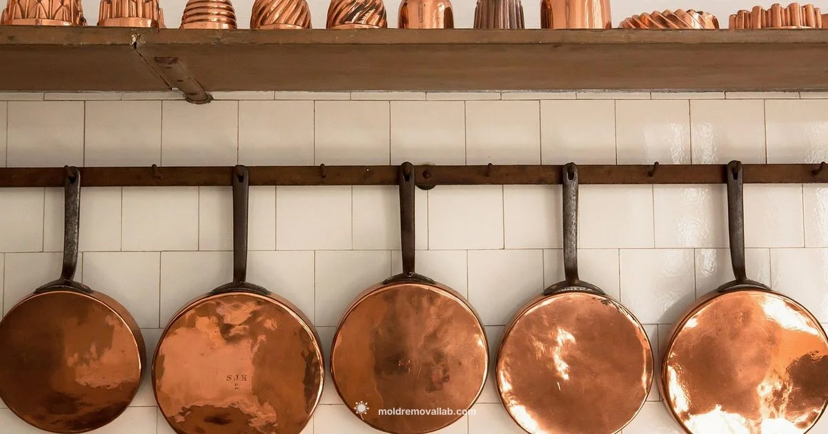 Mold-Safe Baking - Mold Removal Lab